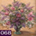 Nummer 68: bloemen in vaas. Klik voor een vergroting.
