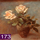 Nummer 173: Rozen in vaas 02. Klik voor een vergroting.