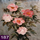 Nummer 187: rozen. Klik voor een vergroting.