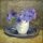 Nummer 577: Anemonen in witte vaas op tinnen bord. Klik voor een vergroting.